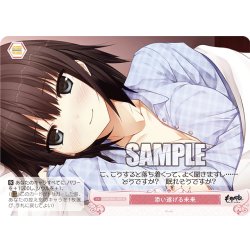 画像1: 添い遂げる未来[WSR_OS07/R07-075C]