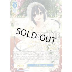 画像1: 【SSP仕様(RR)】一生の誓い ふかみ[WSR_OS07/R07-077SSP]