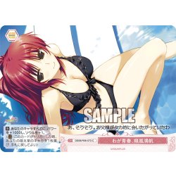 画像1: わが青春、順風満帆[WSR_OS08/R08-073C]