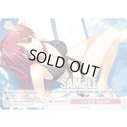 画像1: わが青春、順風満帆[WSR_OS08/R08-073C]