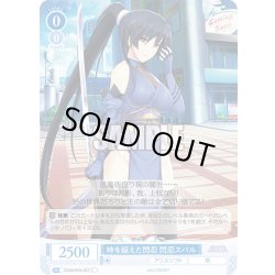 画像1: 時を超えた閃忍 閃忍スバル[WSR_OS09/R09-087C]