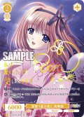 【SP仕様(R)】蛍舞う夏の夜に 芙蓉楓[WSR_OS10/R10-007SP]