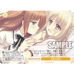 画像1: 【SR仕様(C)】危険な関係[WSR_OS10/R10-027S]