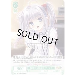画像1: 無邪気な居候娘 プリムラ[WSR_OS10/R10-028RR]