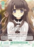 嘘の終わり 花之宮瑞穂[WSR_OS10/R10-038C]