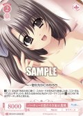 【SR仕様(R)】パーティーの夜のその後は 鳳鳴[WSR_OS10/R10-055S]