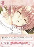 恋心の芽生え 柳ヶ瀬湊[WSR_OS10/R10-064C]