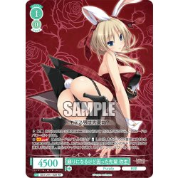 画像1: 頼りになるけど困った先輩 弥生[WSR_OS11/R11-029RR]