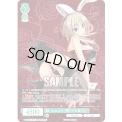 画像1: 【OFR仕様(RR)】頼りになるけど困った先輩 弥生[WSR_OS11/R11-029OFR]