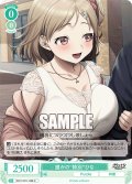 誰かの“特別”ひな[WSR_OS11/R11-039C]