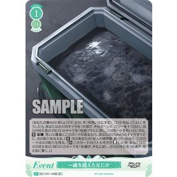 画像1: 【SR仕様(C)】一線を越えたなにか[WSR_OS11/R11-048S]