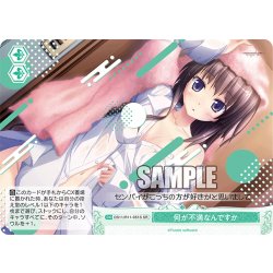 画像1: 【SR仕様(C)】何が不満なんですか[WSR_OS11/R11-051S]