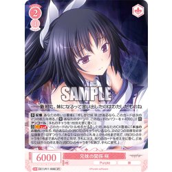 画像1: 【SR仕様(R)】兄妹の関係 咲[WSR_OS11/R11-058S]