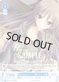 【SR仕様(C)】巻き込まれていく夢の中で 有栖[WSR_OS11/R11-088S]