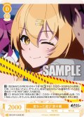 【SR仕様(R)】変わった遊び 奈々瀬[WSR_O12/R12-004S]
