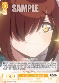 おいしいごはん 麻沙音[WSR_OS12/R12-011C]