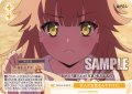 大人の女性なんですけど！[WSR_OS12/R12-024C]