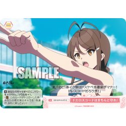画像1: ドエロスコードはきちんと守れ！[WSR_OS12/R12-073C]