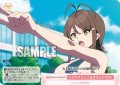 【SR仕様(C)】ドエロスコードはきちんと守れ！[WSR_O12/R12-073S]