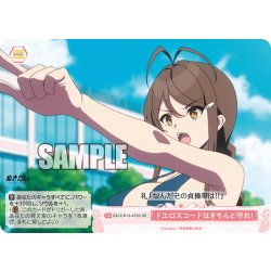 画像1: 【SR仕様(C)】ドエロスコードはきちんと守れ！[WSR_O12/R12-073S]