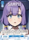 【SR仕様(C)】収納テクニック 美岬[WSR_O12/R12-085S]