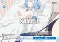 な、なんか……轢いた……？[WSR_OS12/R12-098C]