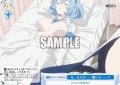 【SR仕様(C)】な、なんか……轢いた……？[WSR_O12/R12-098S]