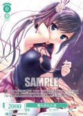 【OFR仕様(RR)】篝火ゆれる 滸[WSR_OS13/R13-026OFR]