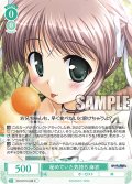 秘めていた気持ち 麻衣[WSR_OS13/R13-028R]