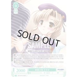 画像1: 家族の形 さやか[WSR_OS13/R13-030R]