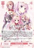 【SR仕様(C)】花あかり 朱璃[WSR_OS13/R13-067S]
