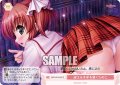 迷える子羊を導くために[WSR_OS13/R13-074C]