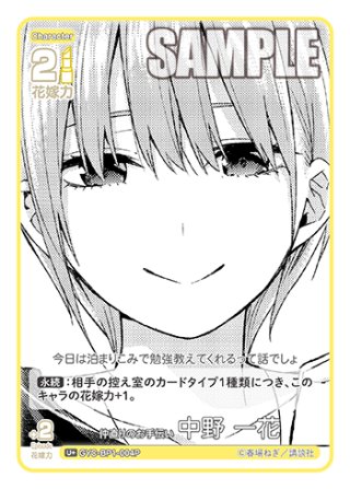 宙に舞う胚芽米2枚セット 宙を舞う胚芽米[GYC_GYC-SD2-010_SD] - マスターズスクウェア