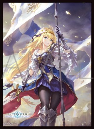 最新 シャドウバース 引退 エボルヴ 27＋4個 まとめ売り