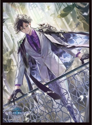 サプライ】Shadowverse EVOLVE(シャドウバース エボルヴ) - マスターズ