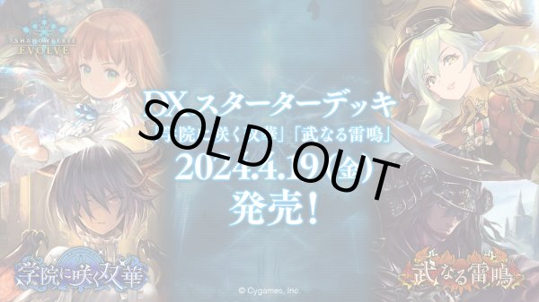 画像1: Shadowverse EVOLVE DXスターターデッキ「学院に咲く双華」「武なる雷鳴」収録クラス:ウィッチ・ドラゴン(1個)(シャドウバース エボルヴ)[新品商品] (1)