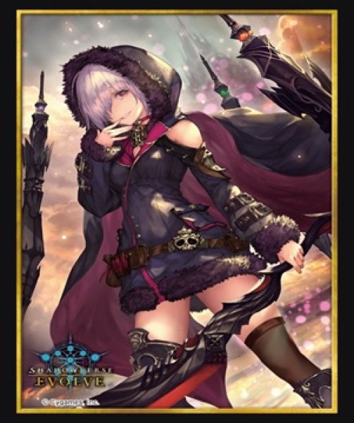 画像1: 『オズの大魔女』Shadowverse EVOLVE公式スリーブVol.68(1個)[新品商品] (1)