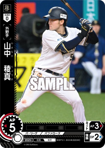 画像1: 山中　稜真[PDO_BP01-B09_C] (1)