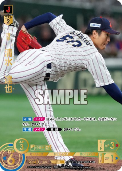 画像1: 清水　達也[PDO_PB01-SJ09_UR] (1)