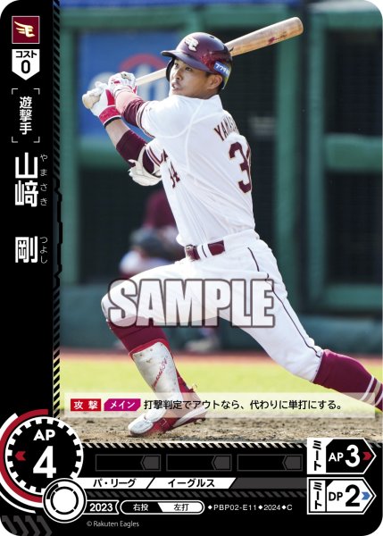 画像1: 山崎　剛[PDO_PBP02-E11_C] (1)