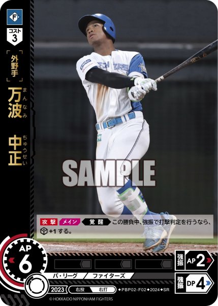 画像1: 万波　中正[PDO_PBP02-F02_SR] (1)