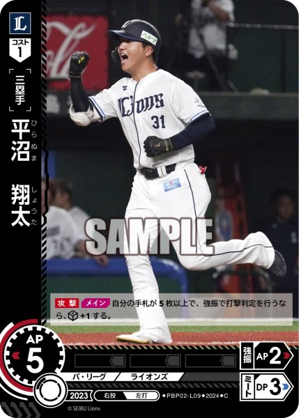 画像1: 平沼　翔太[PDO_PBP02-L09_C] (1)