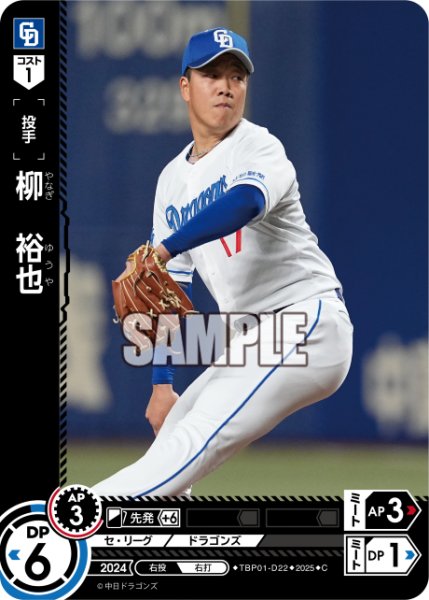 画像1: 柳　裕也[PDO_TBP01-D22_C] (1)