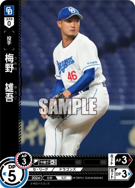 画像1: 梅野　雄吾[PDO_TBP01-D30_C] (1)