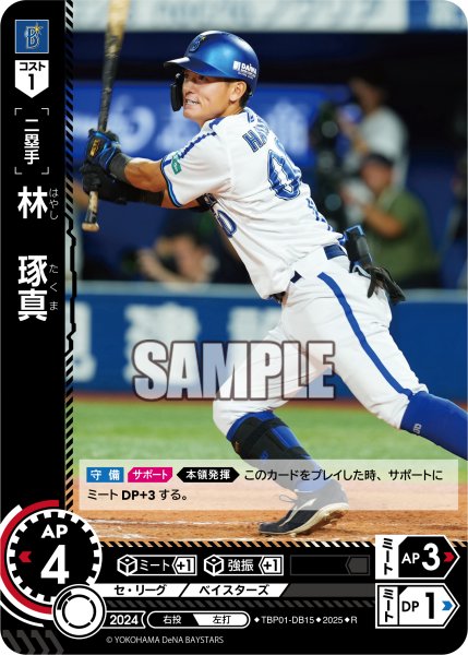 画像1: 林　琢真[PDO_TBP01-DB15_R] (1)