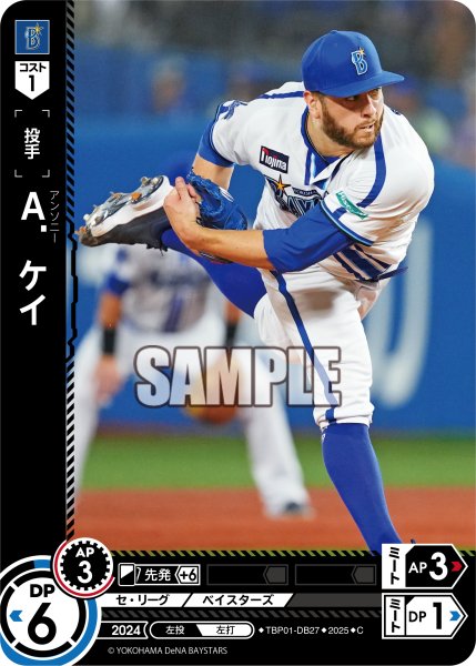 画像1: Ａ．ケイ[PDO_TBP01-DB27_C] (1)