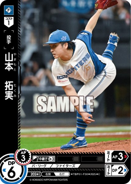 画像1: 山本　拓実[PDO_TBP01-F30_C] (1)