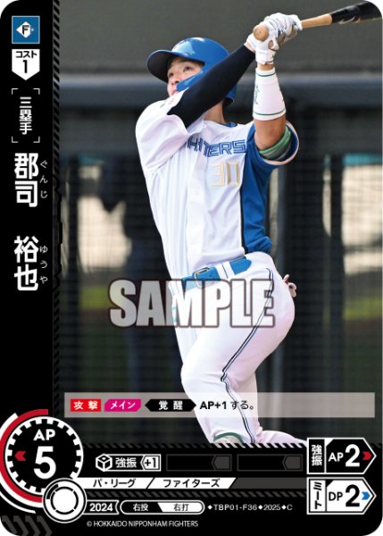 画像1: 郡司　裕也[PDO_TBP01-F36_C] (1)