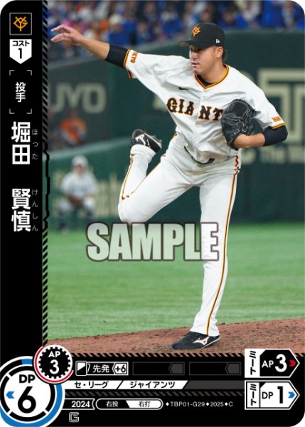 画像1: 堀田　賢慎[PDO_TBP01-G29_C] (1)
