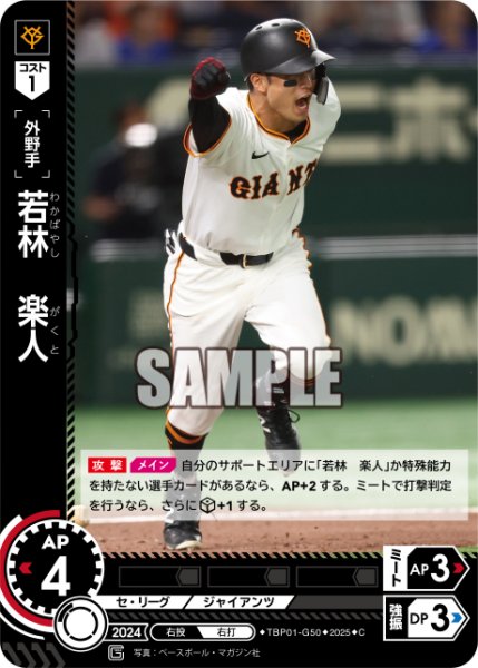 画像1: 若林　楽人[PDO_TBP01-G50_C] (1)